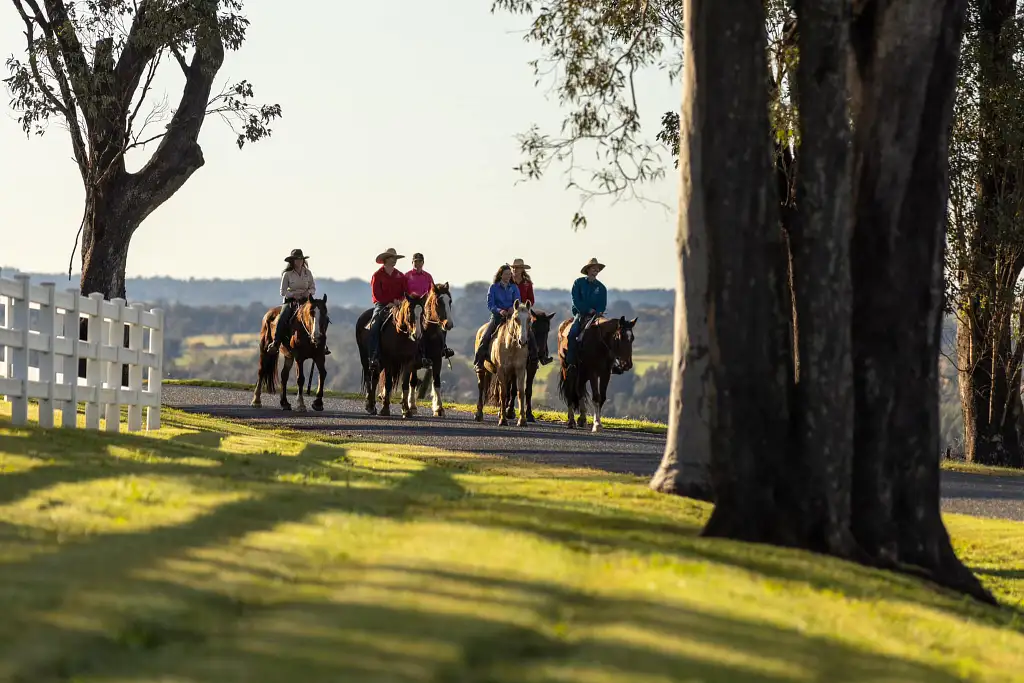 90 Minute Horseback Vineyard Trail Ride - Hunter Valley