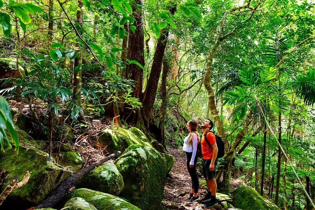 5 Day Walk Queensland's Scenic Rim | Gold Coast | Intrepid Tour