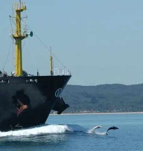 Port Phillip Bay Wildlife Adventure Cruise