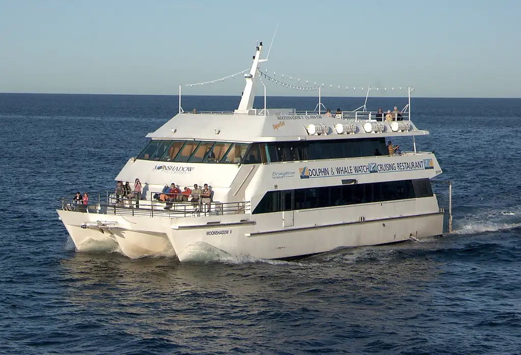 Port Stephens Whale Watching - Day Trip With Sandboarding & 4WD Experience