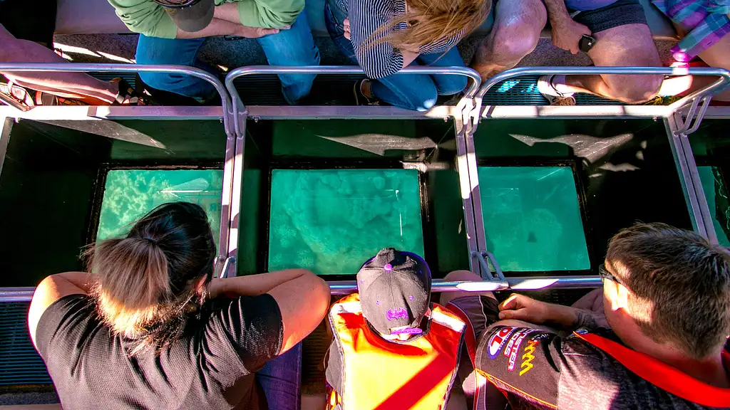 Glass Bottom Boat Tour - Shute Harbour