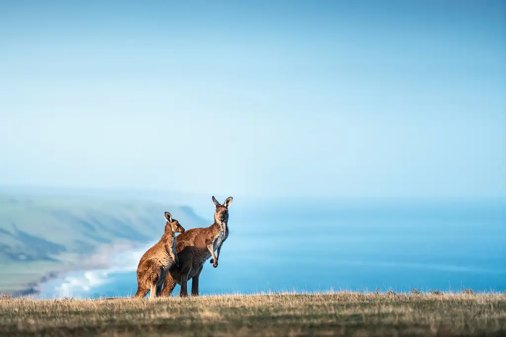 4 Day Yoga Retreat - Fleurieu Peninsula