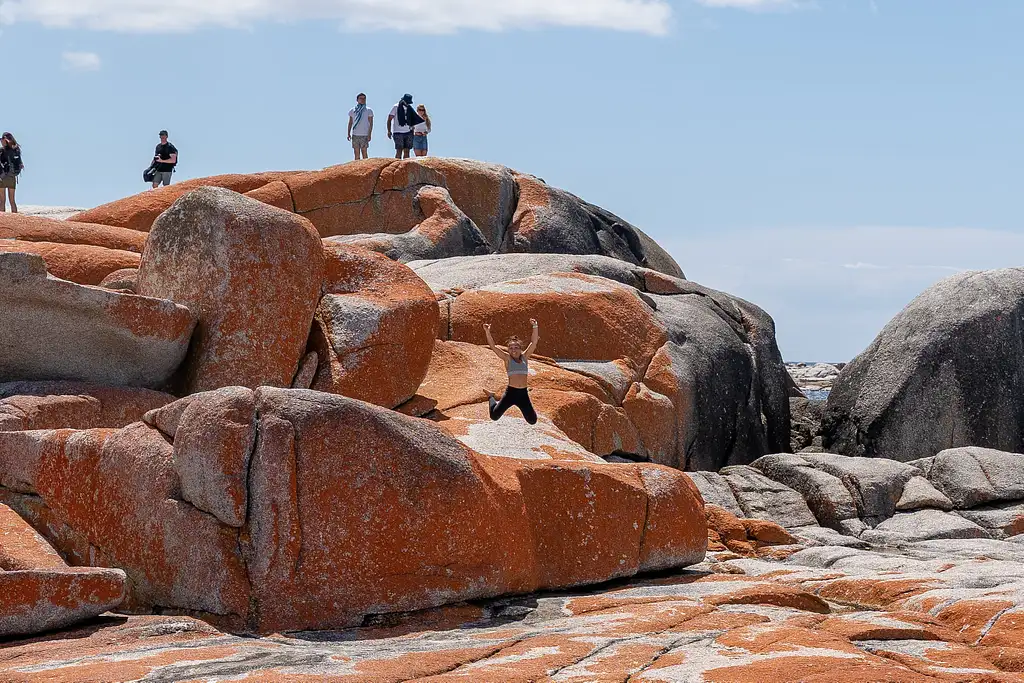 5 Day Tassie 5 Highlights Tour | Hobart to Hobart