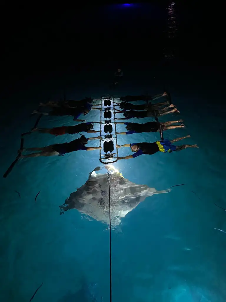 Late Night Manta Ray Snorkel | From Kona