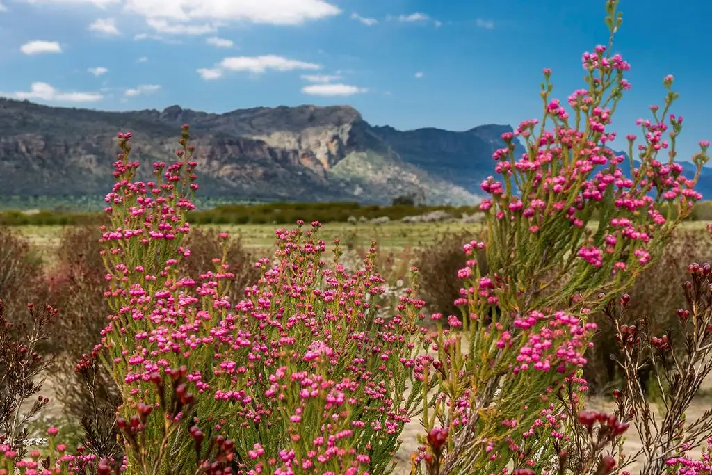 Grampians National Park & Wildlife Day Tour