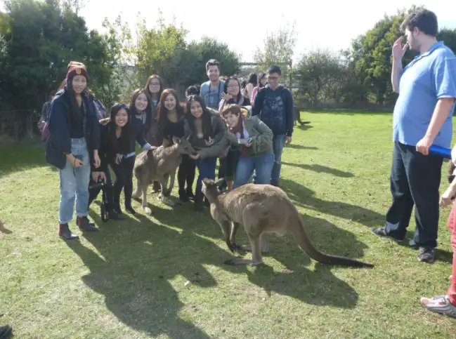 2 Day/1 Night Great Ocean Road & Phillip Island Tour