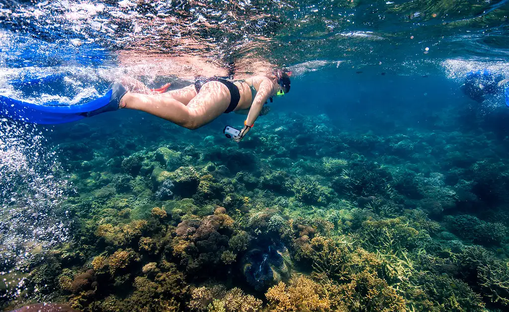 Frankland Islands Reef, Rainforest & River Day Tour from Cairns