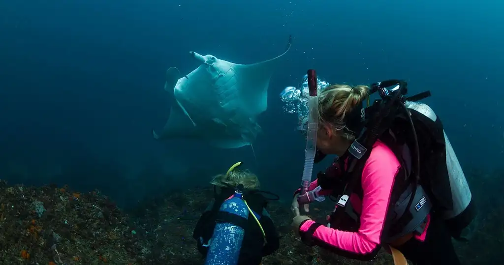 Certified Dive Tour At Julian Rocks