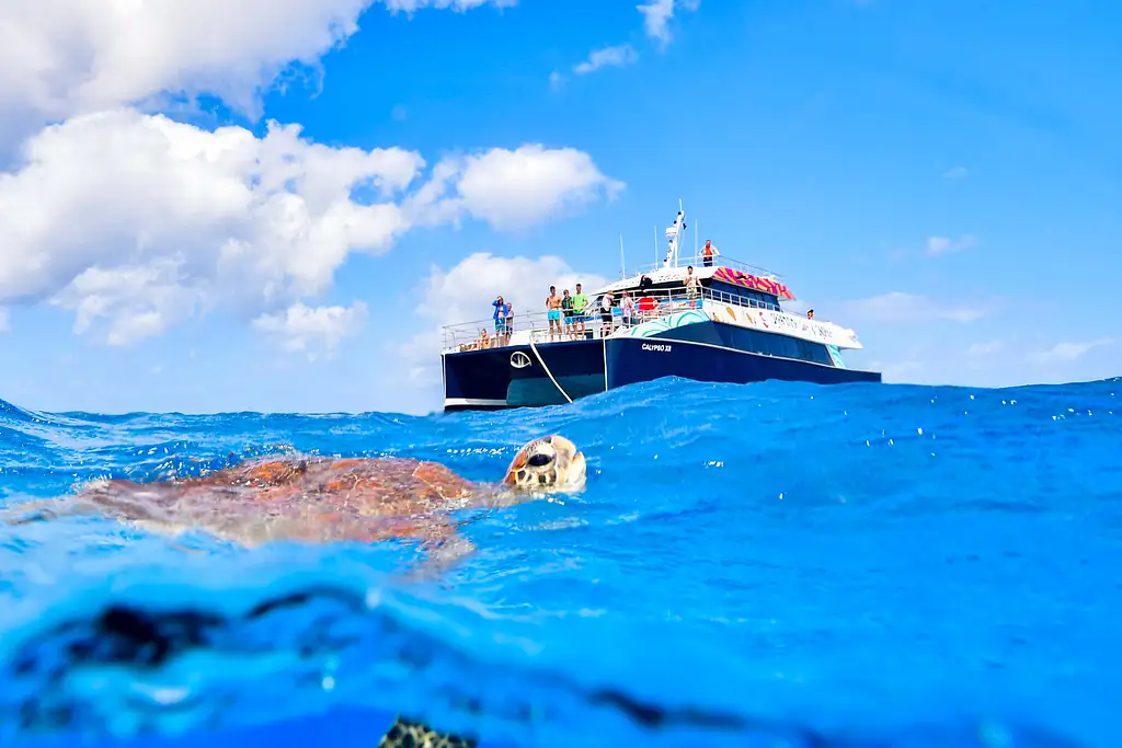 Cairns Dreamtime Dive And Snorkel