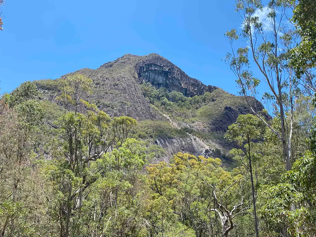 Australia Zoo - Glass House Mountains Tour from Sunshine Coast