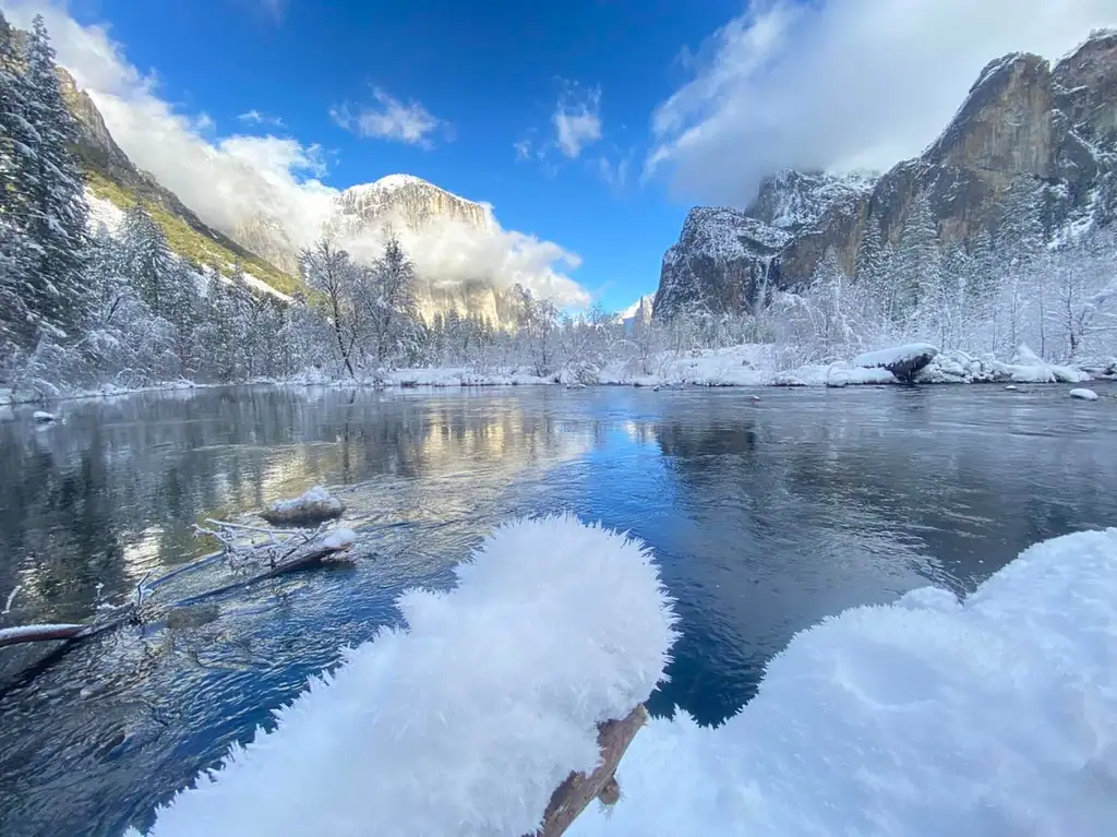 Giant Sequoia Hike or Snowshoe