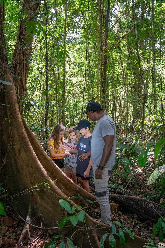 Full Day Or Half Day Daintree Rainforest Walkabout