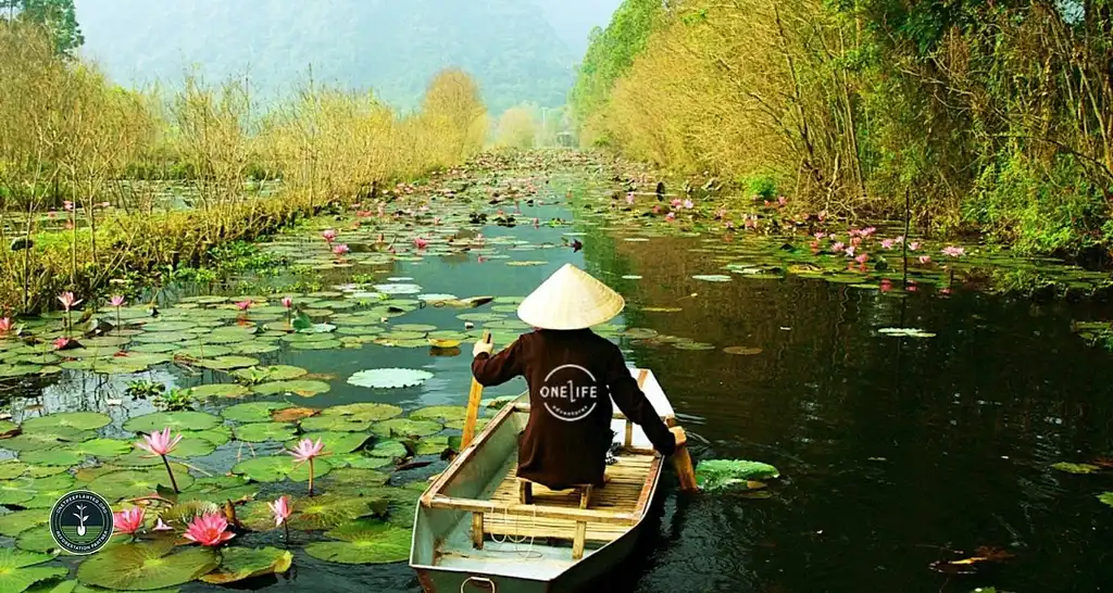 ON SALE - 20% off! 12 Day Vietnam Classic Ho Chi Minh to Hanoi Tour | One Life Adventures