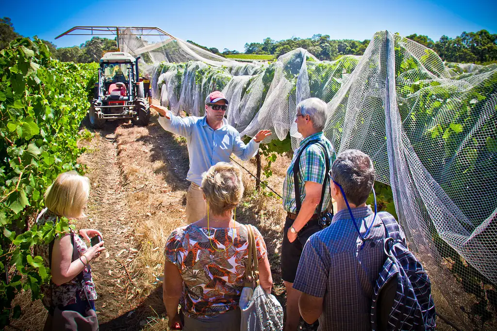 Margaret River Wine Adventure - The tour for people who don't do tours!