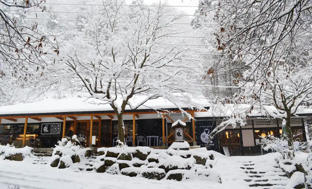 Snow Monkeys, Zenko-ji Temple & Sake 1 Day Tour