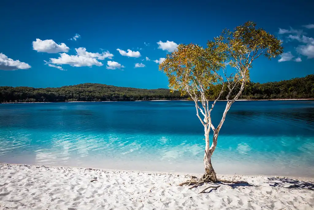 All-inclusive K'gari Fraser Island Day Tour