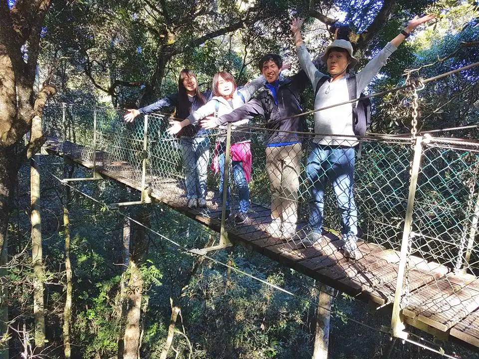 Rainforests of Lamington Wilderness Tour from the Gold Coast