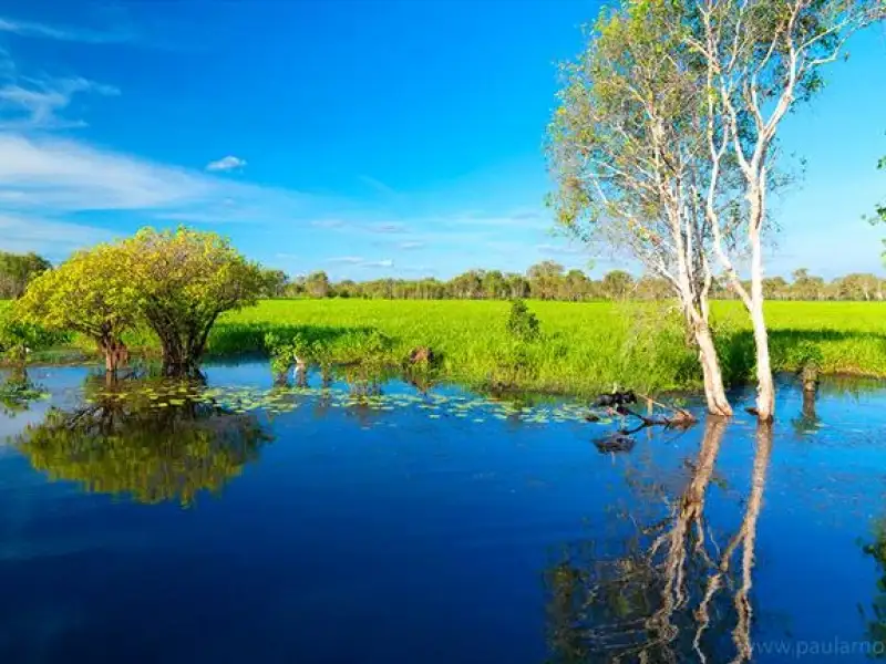 Darwin To Kakadu Day Trip By Air Including Yellow Water Cruise