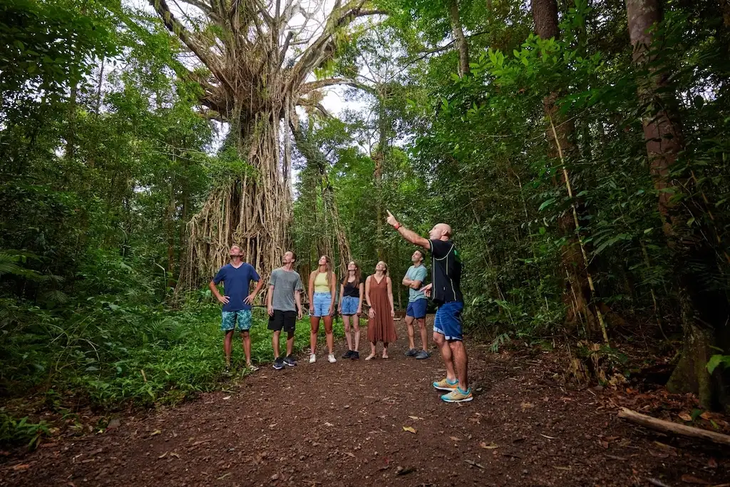 Atherton Tablelands Waterfall Day Tour | Cairns