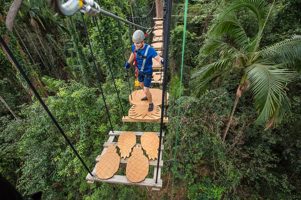 Treetop Challenge High Ropes Course Sunshine Coast