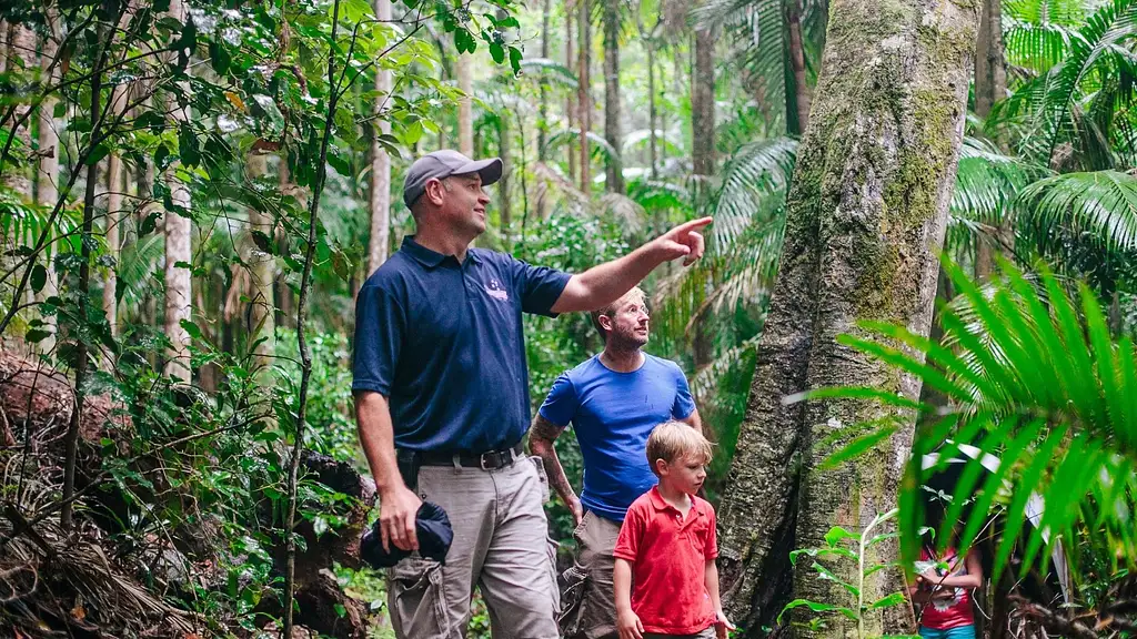 Tastes of Tamborine Mountain Tour