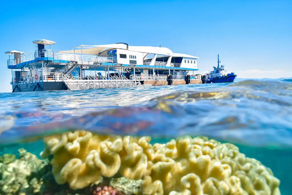 Cairns to Great Barrier Reef Cruise | Reef Magic Cruises