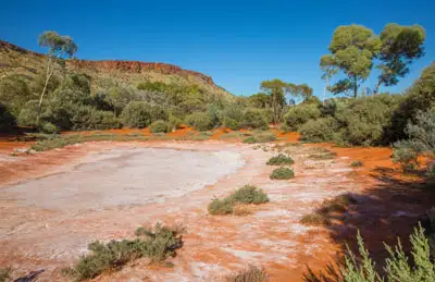 Alice Springs Desert Park - Day Entry