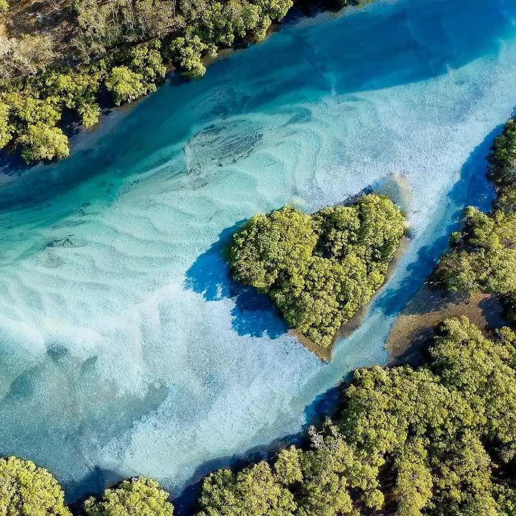 Brunswick River Nature Kayak Tour