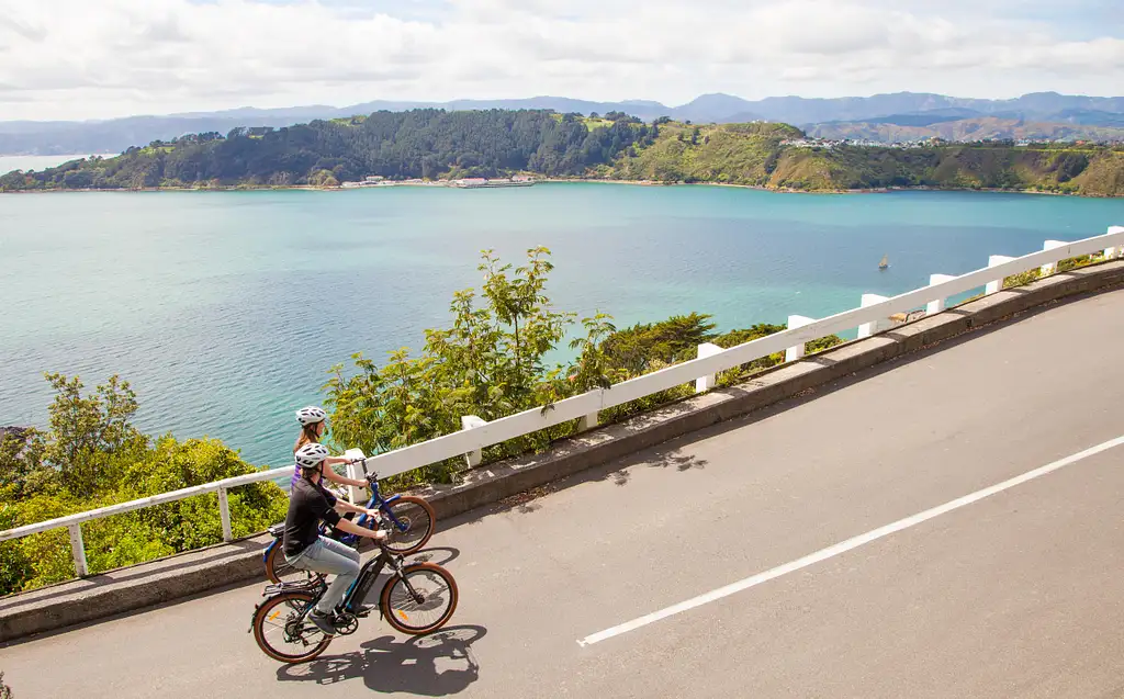 Half Day Wellington & Surrounds E-bike Tour