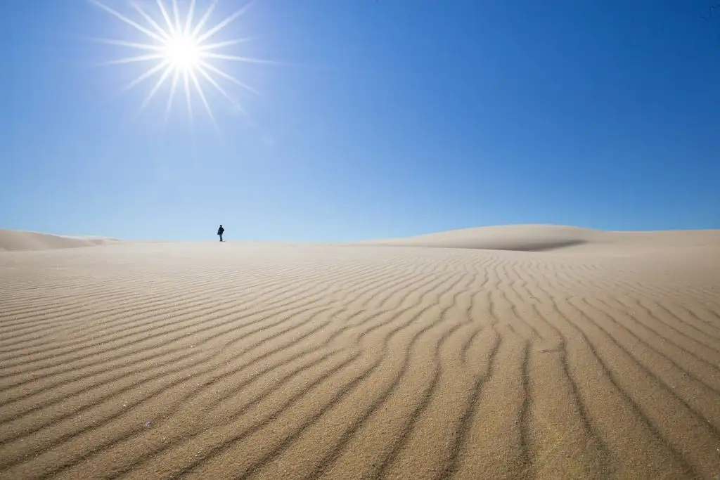 Port Stephens Unlimited Sandboarding & 4WD Adventure