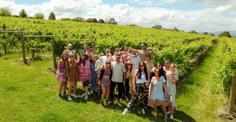 Yarra Valley Gourmet Food & Wine Tour | From Melbourne