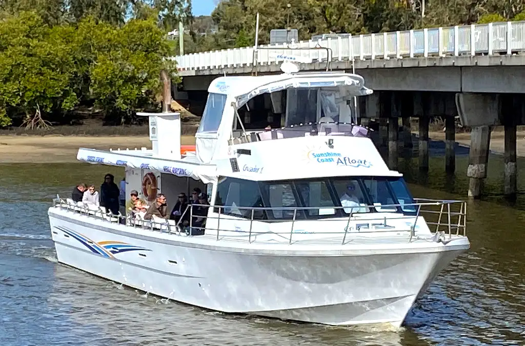 Whale Watching Cruise Without the Crowds - Mooloolaba