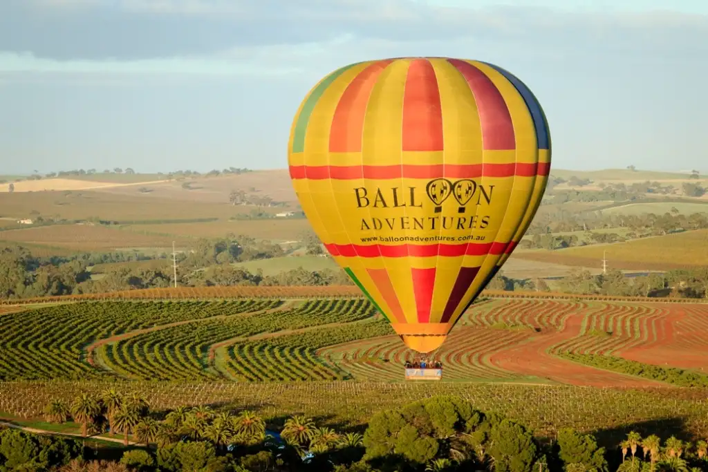 Sunrise Hot Air Balloon Flight Over Barossa Valley