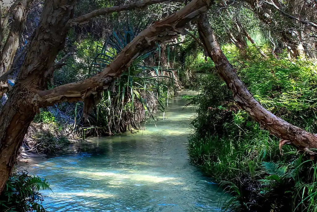 3 Day Fraser Island Adventure