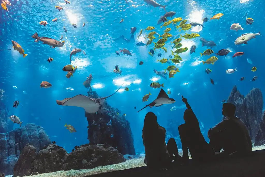 Nat Geo Day Tour: Oceanario Odyssey, A Behind-the-Scenes Experience