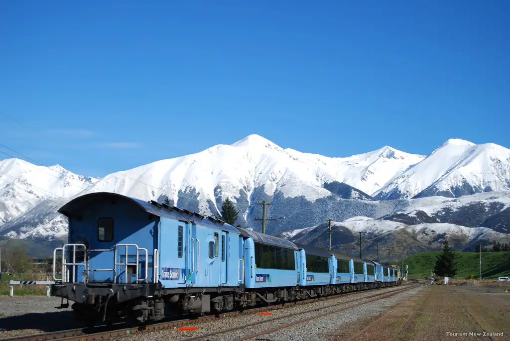 Arthur's Pass & TranzAlpine Train Day Tour