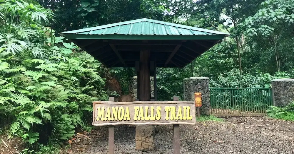 Hawaii Rainforest Hike