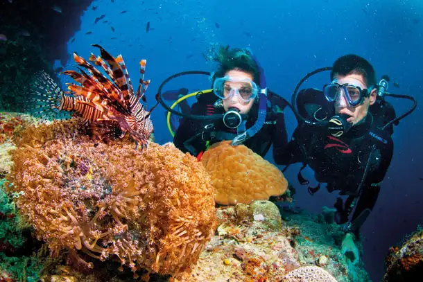 Passions Of Paradise - Great Barrier Reef Day Tour | Snorkel & Dive options