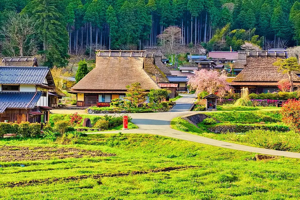 Ine Town, Amanohashidate and Miyama Village Full-Day Tour from Osaka