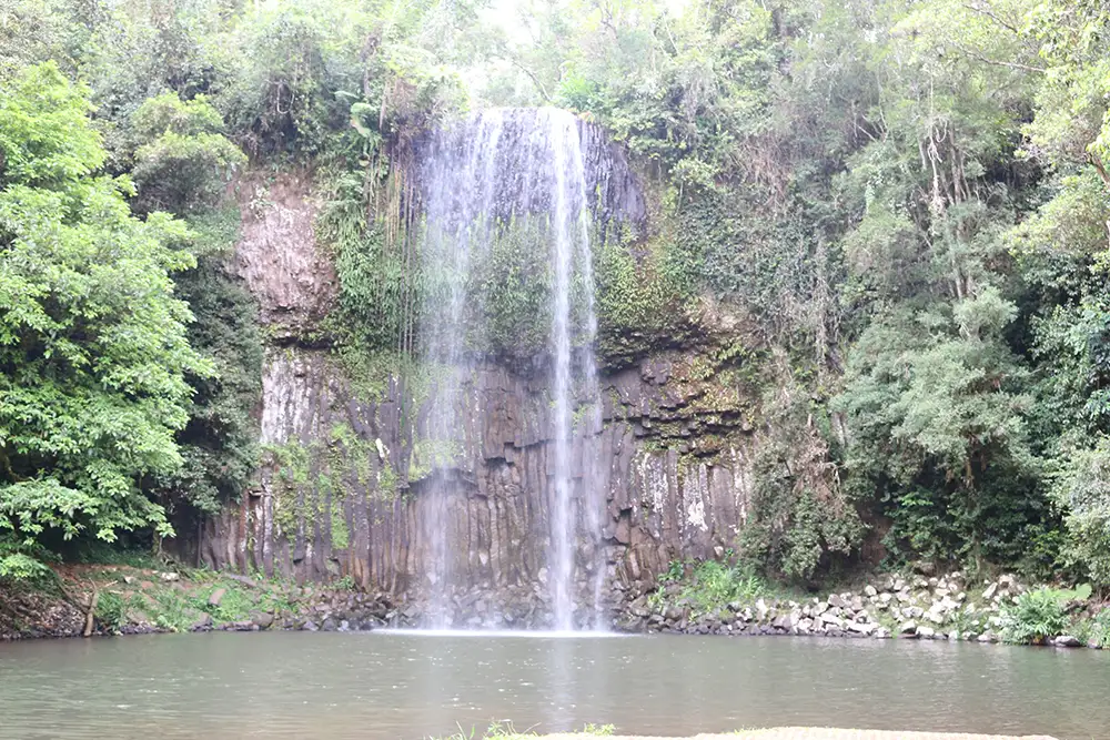 Atherton Tablelands & Waterfalls Day Tour