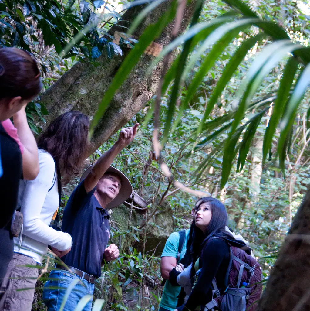 Lamington National Park, O'Reilly's & Vineyard Tour