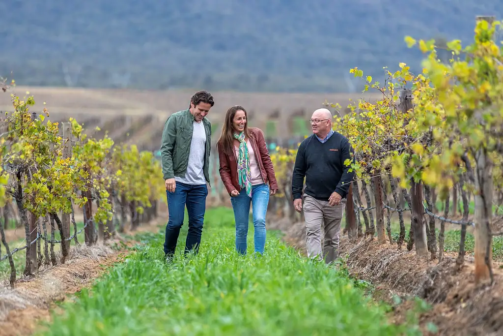 Hunter Valley Wine & Dine Small Group Tour With Lunch | Sydney