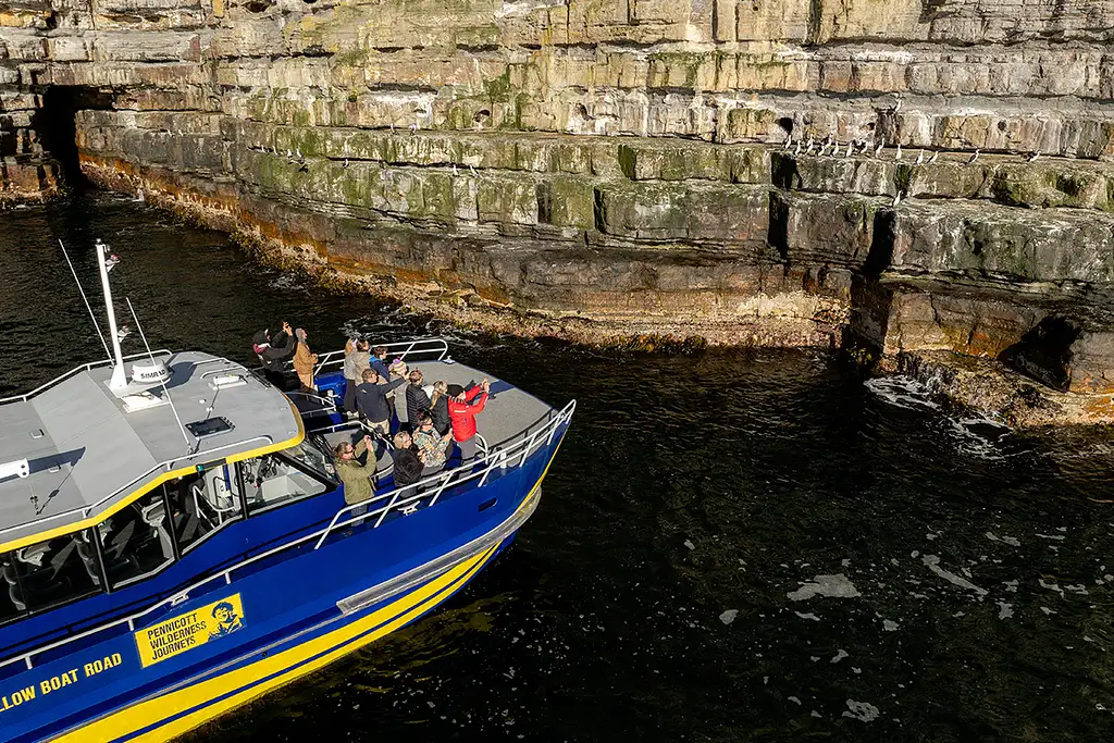 Cape Raoul Cruise with Port Arthur Day Tour | From Hobart