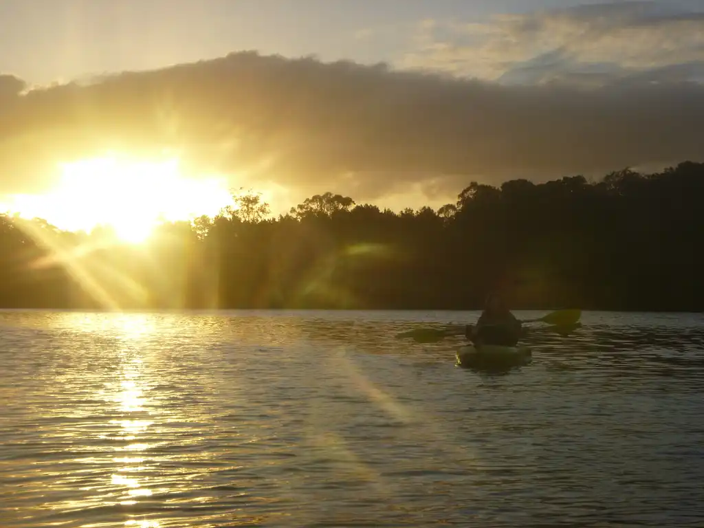 Brunswick River Sunset Nature Tour