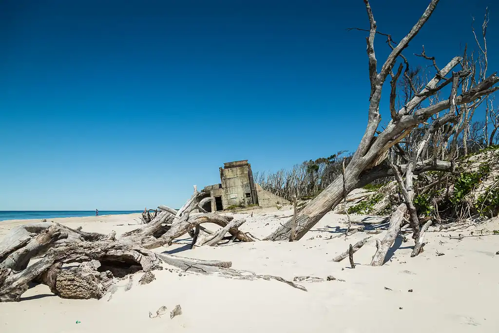 Bribie Island 4WD, Kayak, Beach & Bunker Half Day Tour