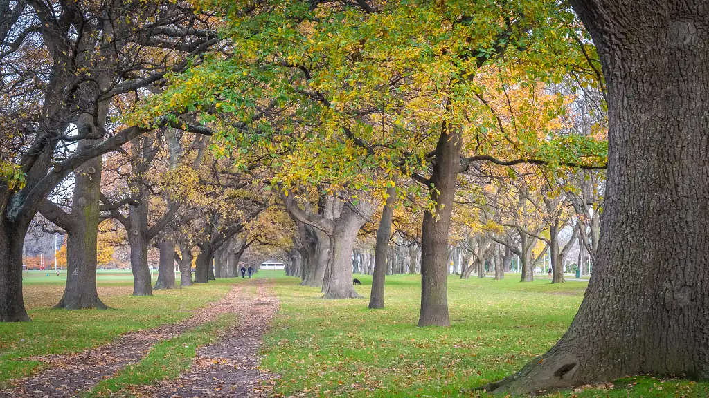 Christchurch City & Surrounds Tour