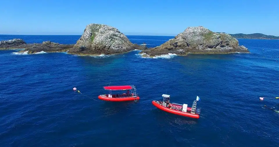 Snorkel Tour Of Julian Rocks Marine Reserve