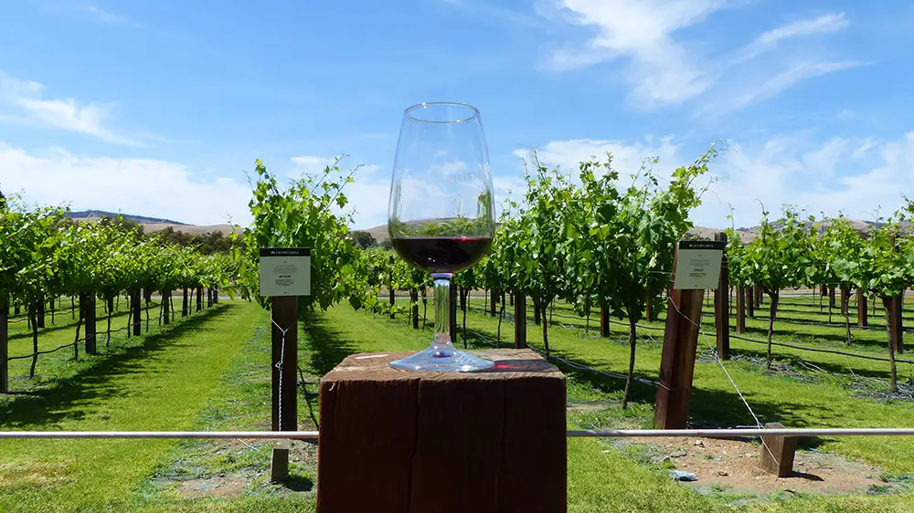 Barossa Valley Wine Full Day Tour From Adelaide