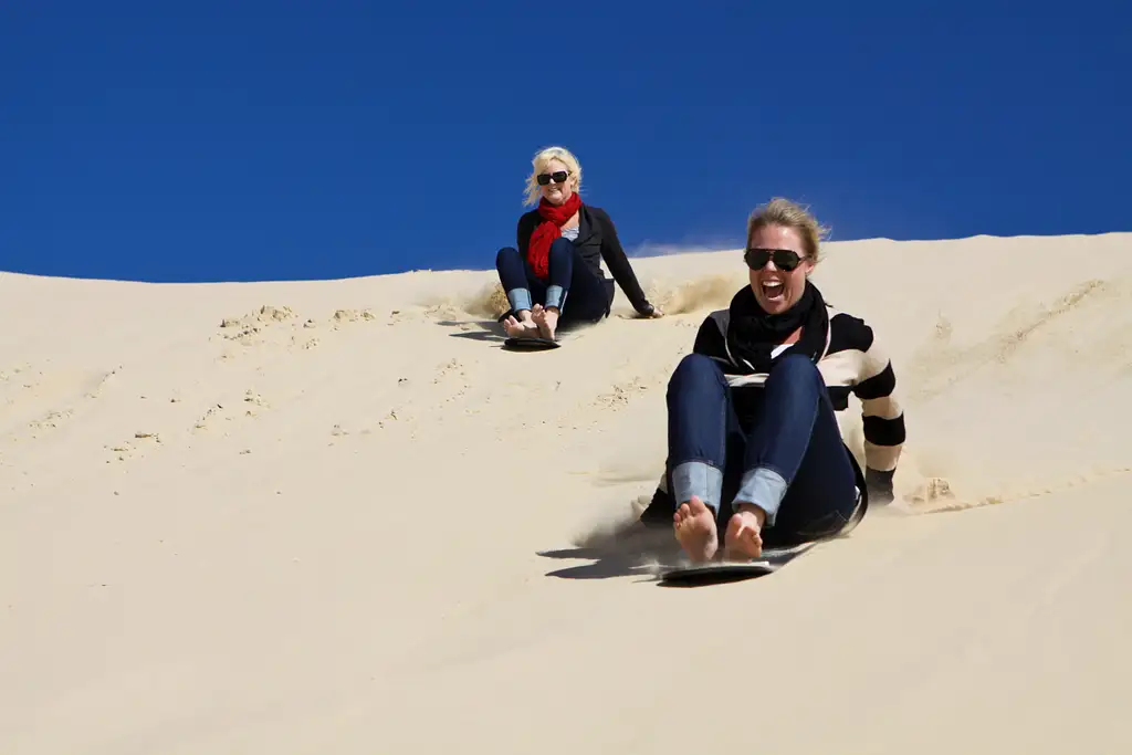 Port Stephens Whale Watching - Day Trip With Sandboarding & 4WD Experience