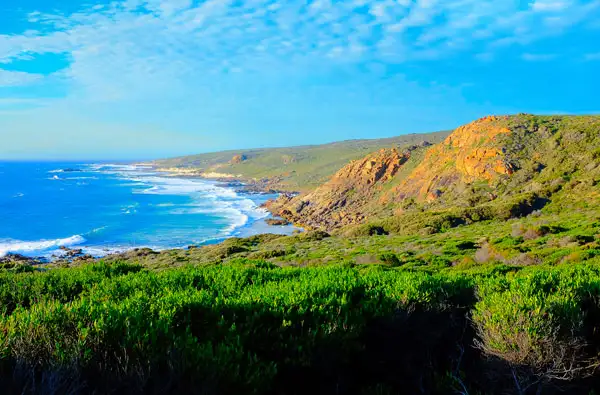 Coastal & Wildlife Eco Tour - Busselton